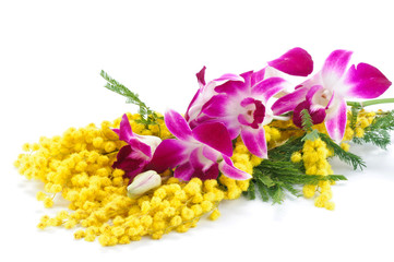 Mimosa e orchidea © Studio Gi