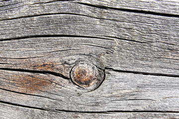 текстура дерева © Tapok