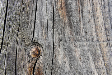 текстура дерева © Tapok