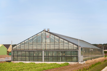Fototapeta na wymiar Greenhouse for agriculture