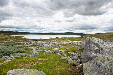 Hardangervidda