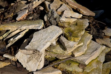 Debris