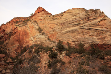 Fototapeta premium Checkerboard Mesa Zion Canyon National Park Utah