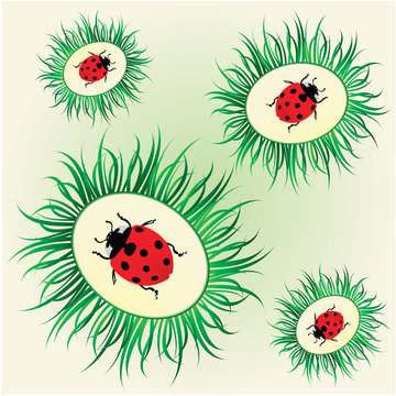 abstract background with a ladybird family