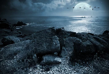 Tableaux ronds sur plexiglas Anti-reflet Côte Pleine lune sur l& 39 océan