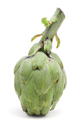 artichoke