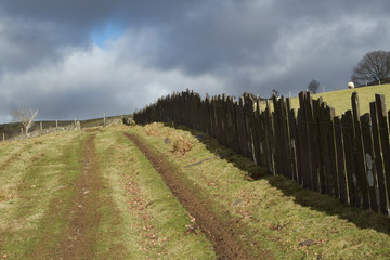 Track and fence.