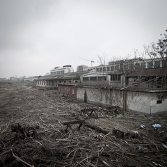 Obraz premium desolate landscape