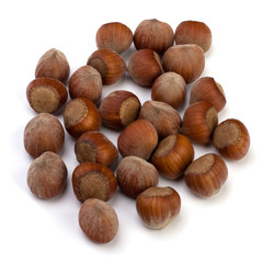 hazelnuts isolated on white background
