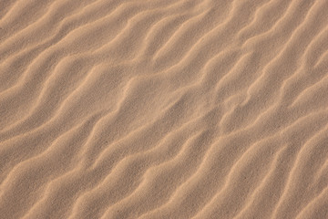 Fototapeta na wymiar Sand Ripples Background