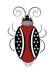 Cute beetle