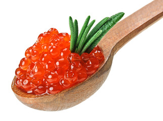 Red salmon caviar heap in wooden spoon with rosemary leaf