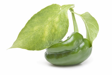 Pimiento verde.