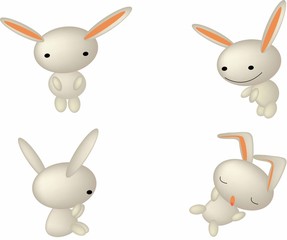 rabbit cute