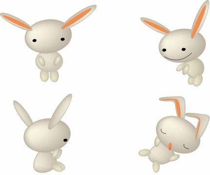 rabbit cute