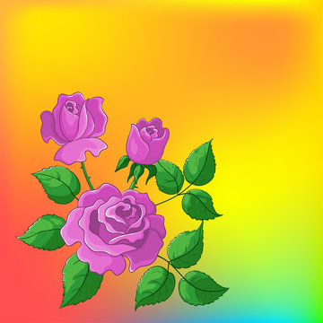 Flower background, roses