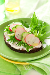 sandwich with soft cheese,radish and cucumber