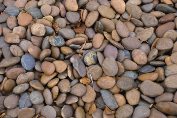 Brown Gravel