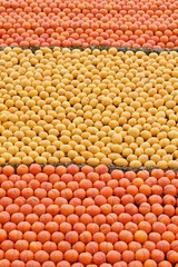Many oranges and lemons