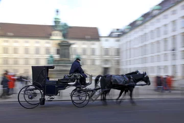 Wandcirkels tuinposter Horse-driven carriage at Hofburg palace, Vienna, Austria © katatonia