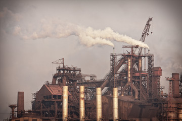 Fototapeta na wymiar Plant with smoke