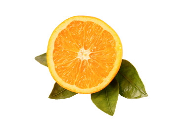 piece of orange and leaf