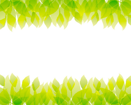 green background