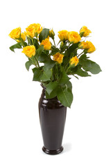 Beautiful yellow roses