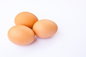 egg