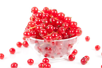 Red currant