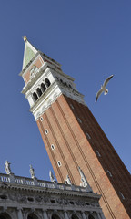 Fototapeta na wymiar San Marco, il campanile