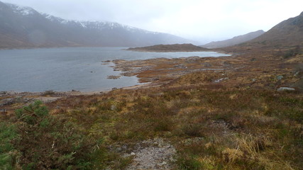 Fototapeta premium highlands 10
