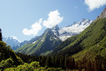 Fototapeta na wymiar Caucasus Mountains. Region Dombay.