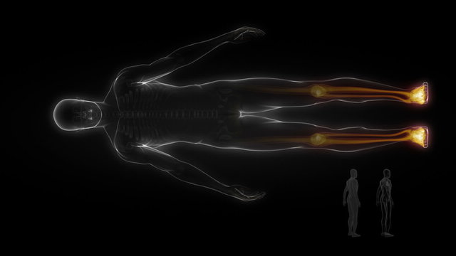 Full body scan with interactive data