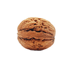 walnut