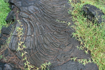 R&eacute;union plage