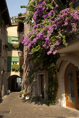 Fototapeta na wymiar Torri del Benaco, ukwiecony balkon