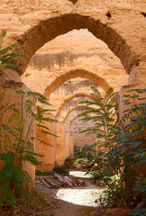 Meknes Marocco 2010