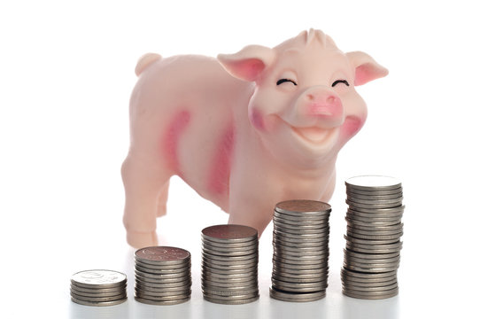 Piggy bank saver