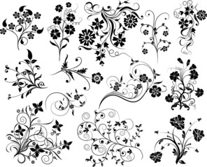 Set of floral elements for design, vector