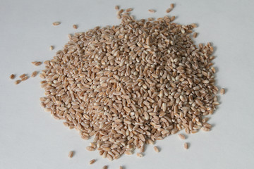 Bio-Dinkel geschliffen