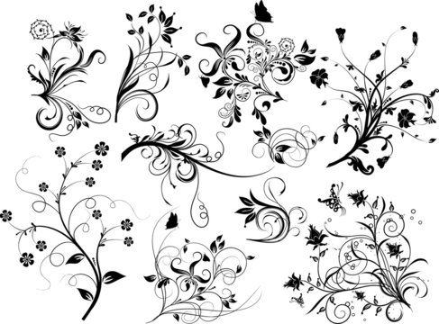 Set of floral elements for design, vector