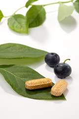 Bilberry pills and berries