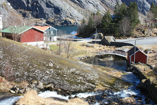 Nusfjord's creek