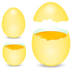 egg