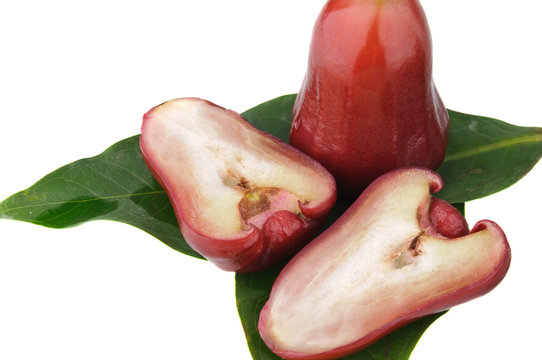 rose apples on green leaf