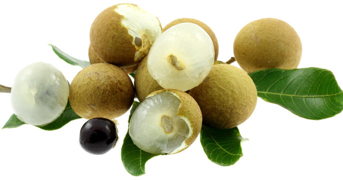 longans