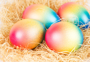 colorful easter eggs lying on some hay