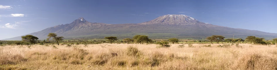 Foto op Plexiglas Kilimanjaro Kilimanjaro-berg