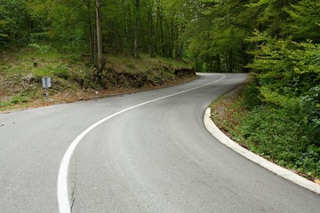 Fototapeta premium Road